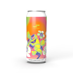 OneTwo x Alina Bohoru - Elderflower Ginger Sour - Beer